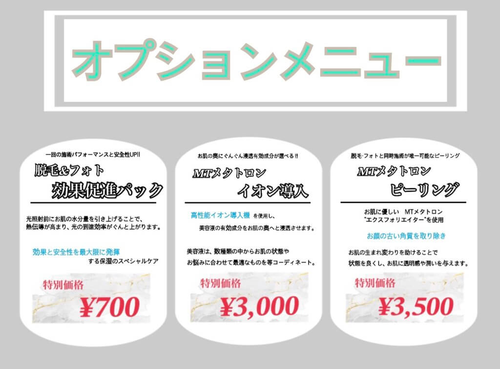 オプションメニューのご案内